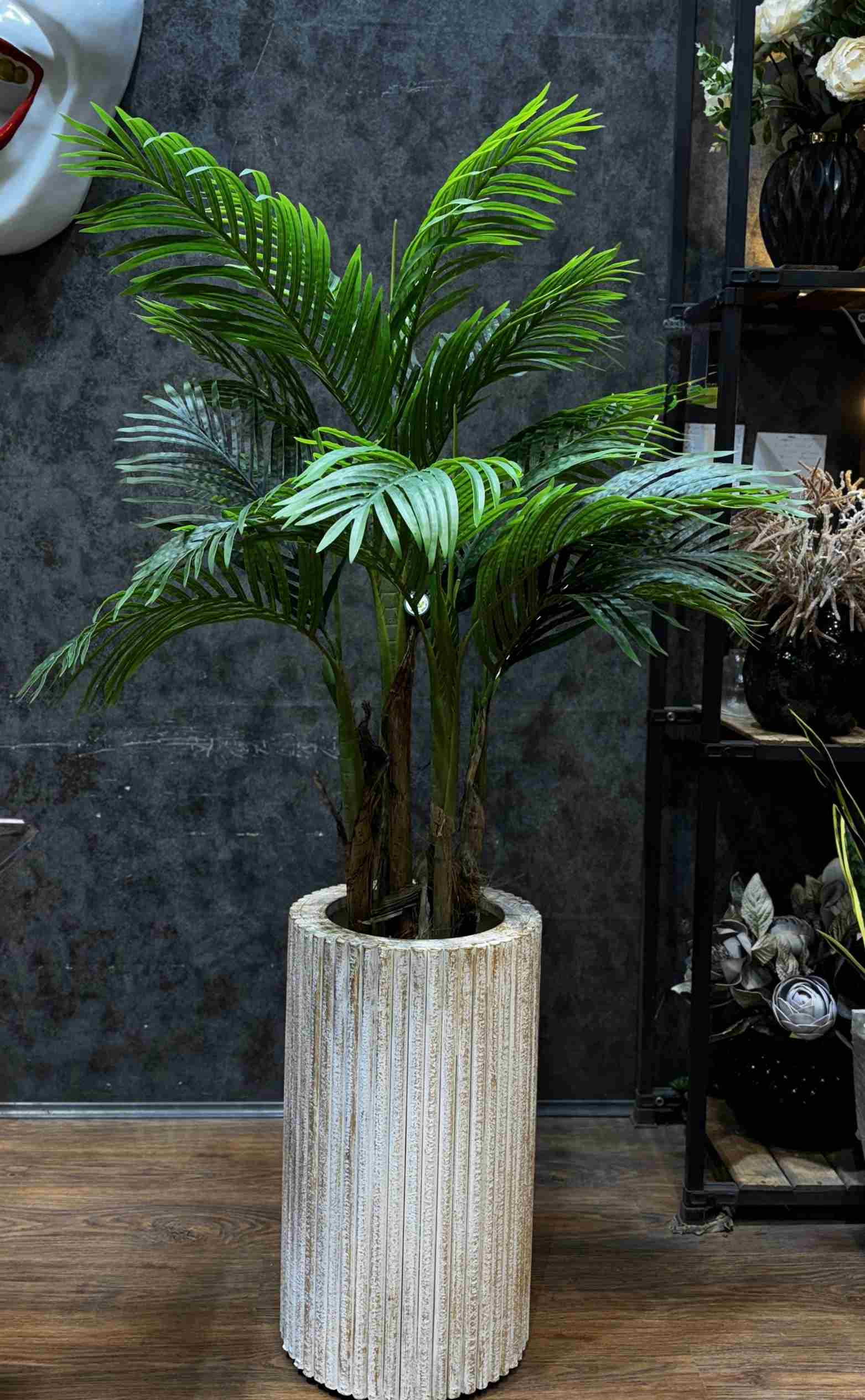 کنتیا 5 تنه 150 cm