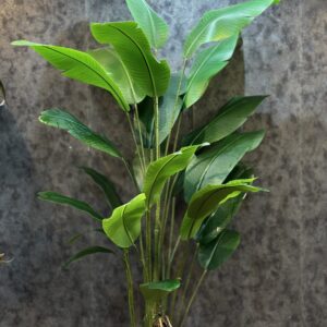 پرنده بهشتی 26 برگ 200 CM