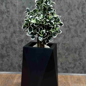 قاشقی 100 cm-کد 7895