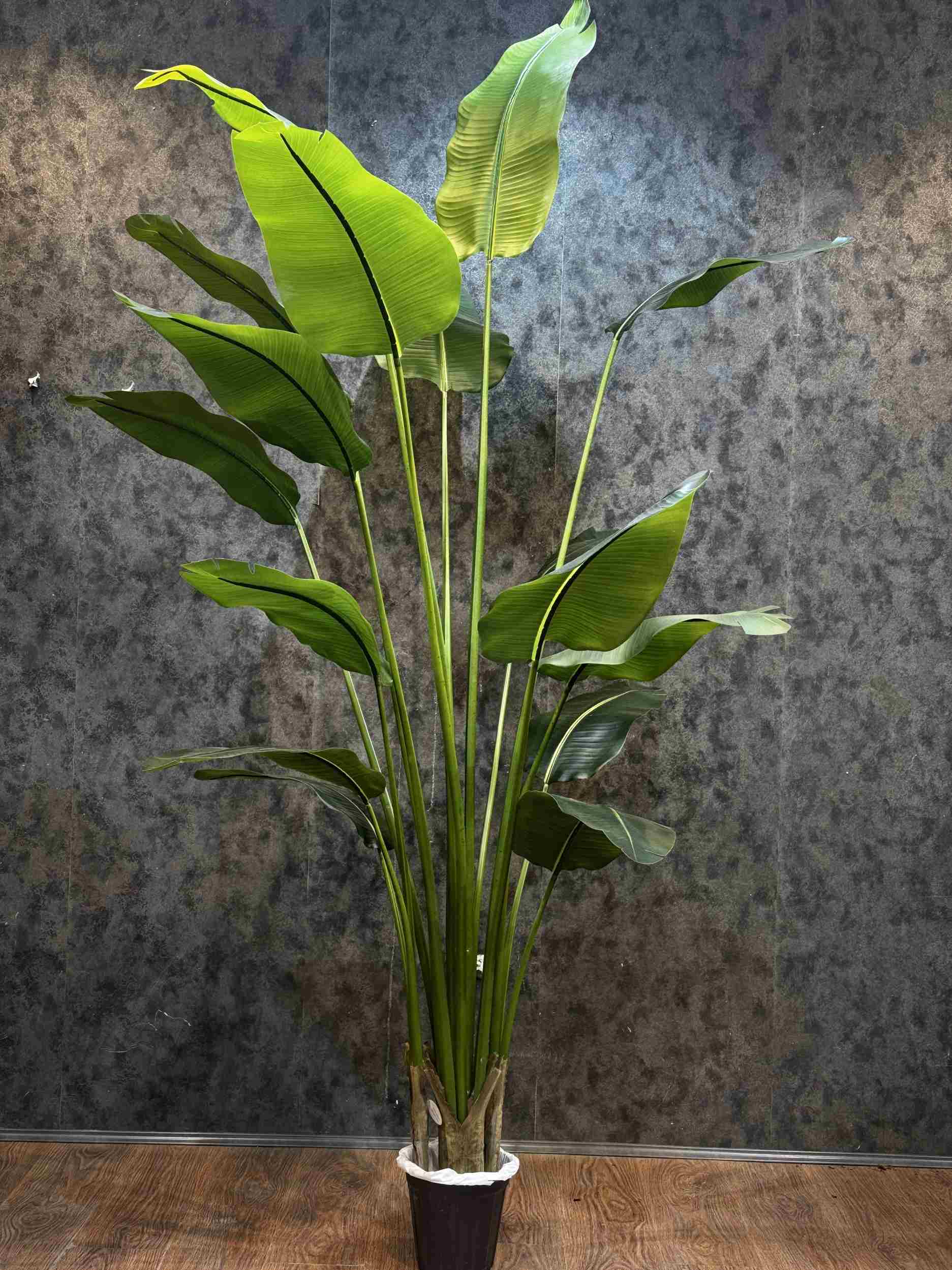پرنده بهشتی 16 برگ 240 cm