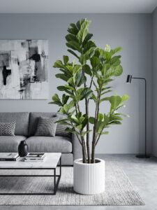 درختچه لیراتا-کد 2621